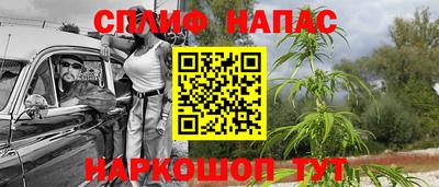 винт Будённовск