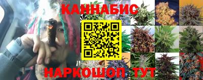 винт Будённовск