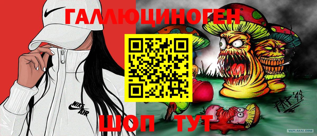 Псилоцибиновые грибы MAGIC MUSHROOMS  Вход с VPN  Щёкино 