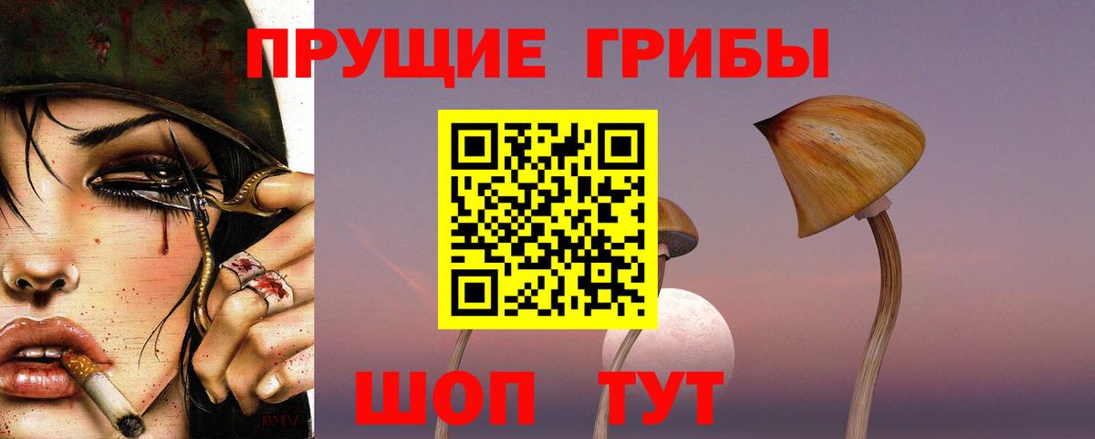 Псилоцибиновые грибы Psilocybe Щёкино