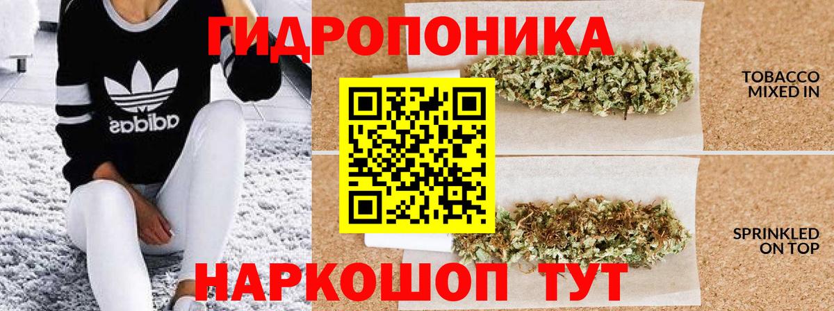 Щёкино  Бошки Шишки Ganja  Конопля конопля  Бошки марихуана OG Kush  Вход с VPN  Бошки марихуана сатива 